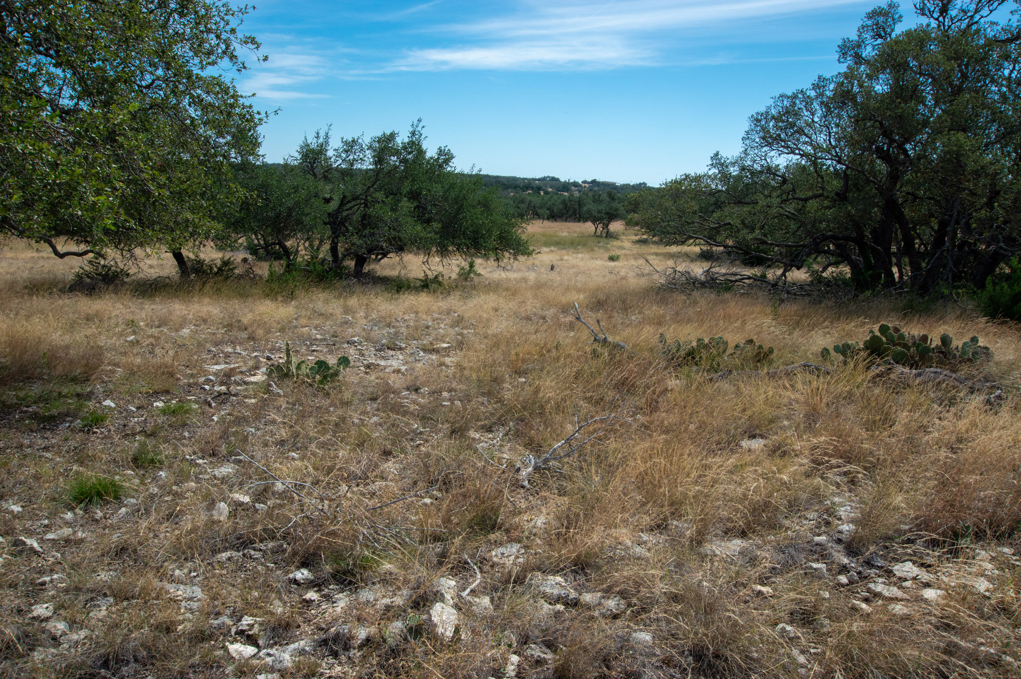 Double Draw Ranch | Meek Ranch Sales