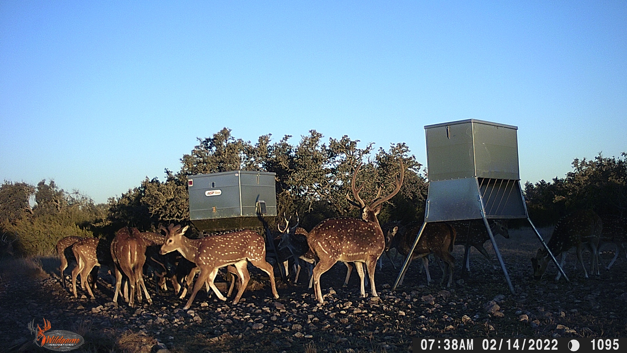 Axis Draw Ranch Meek Ranch Sales