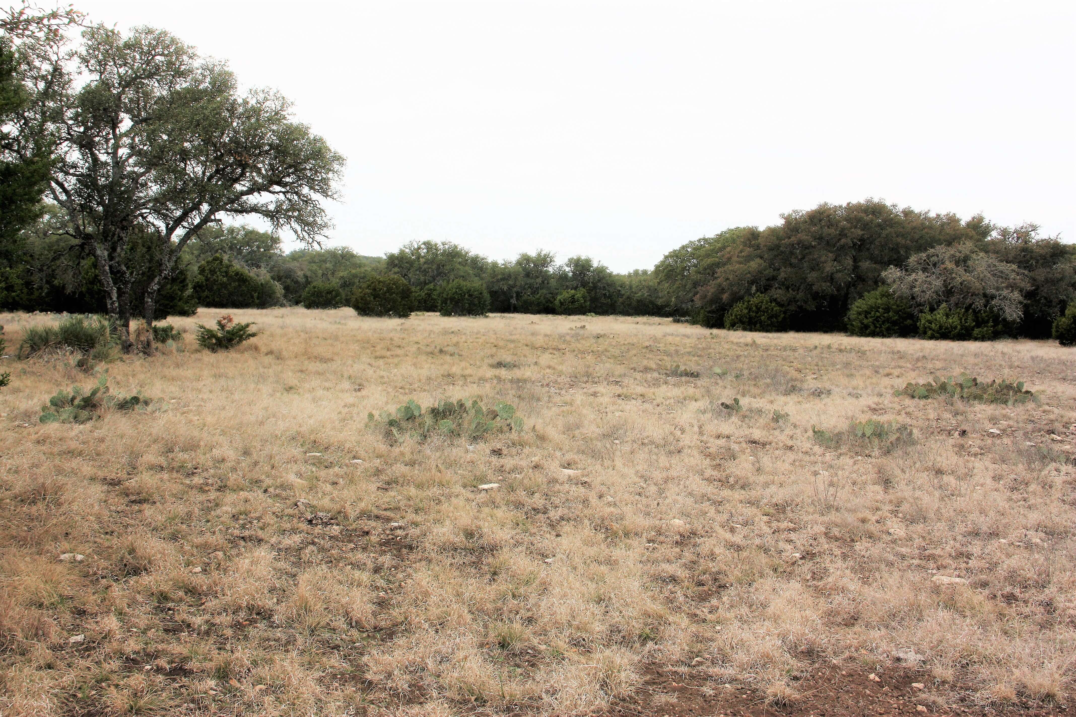 Rolling Oaks Hunting Ranch Meek Ranch Sales